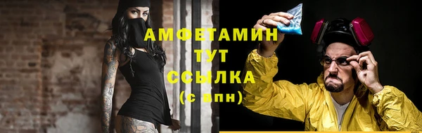 СК Елизово