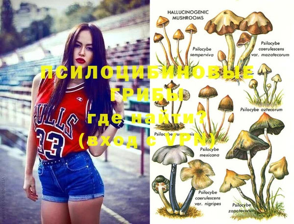 СК Елизово