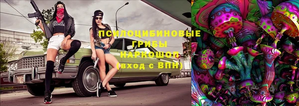 ешки Ельня