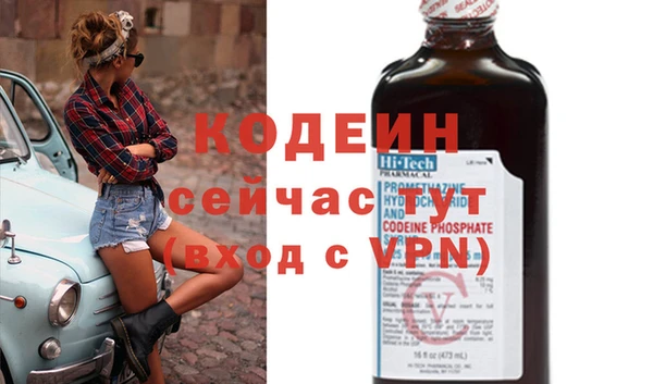 СК Елизово