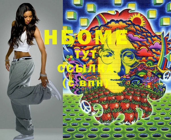 СК Елизово