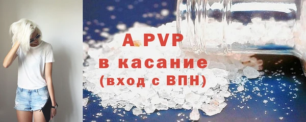 СК Елизово