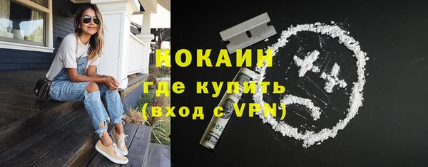 СК Елизово