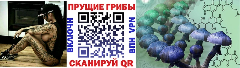 blacksprut маркетплейс  где найти   Скопин  Псилоцибиновые грибы MAGIC MUSHROOMS 