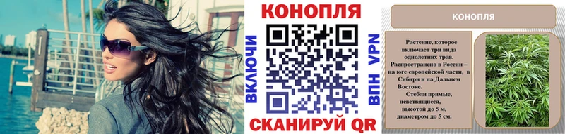Канабис сатива как найти KRAKEN онион Скопин